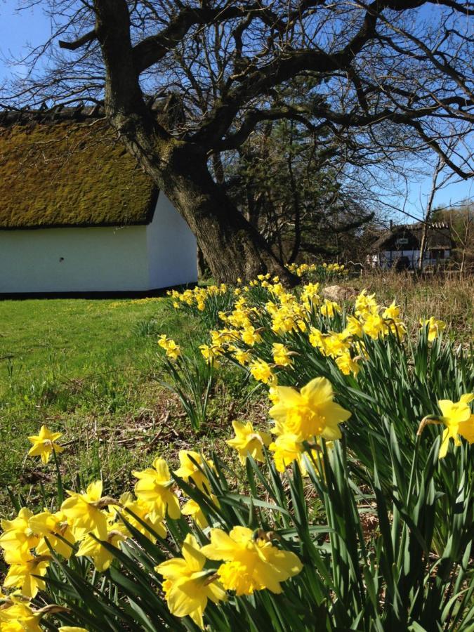 Apple Cottage Vejby ภายนอก รูปภาพ
