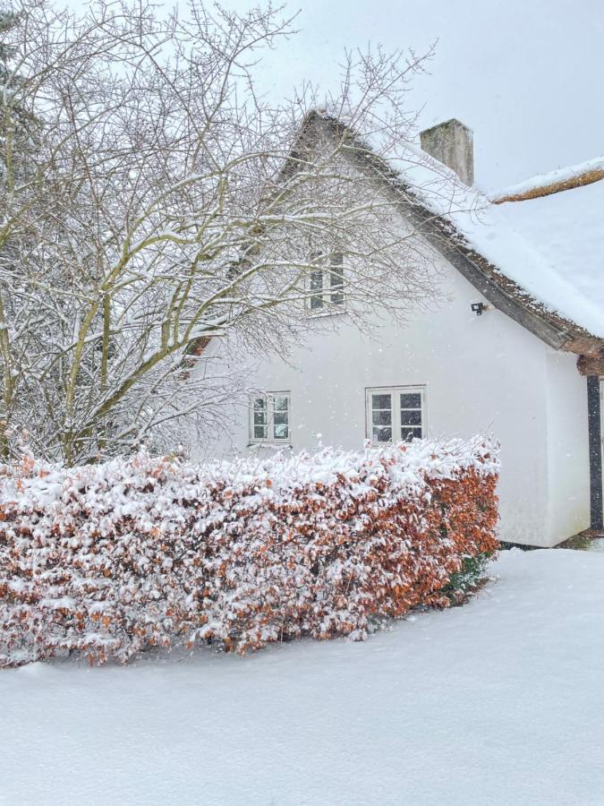 Apple Cottage Vejby ภายนอก รูปภาพ