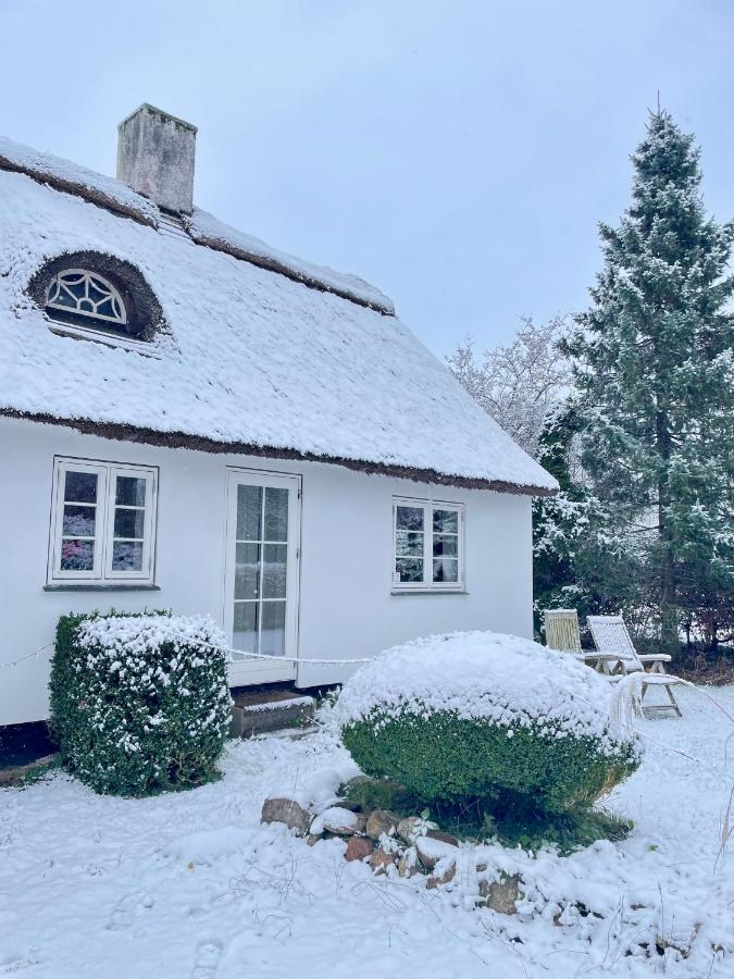 Apple Cottage Vejby ภายนอก รูปภาพ