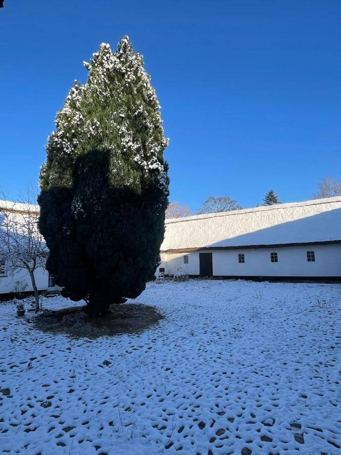 Apple Cottage Vejby ภายนอก รูปภาพ