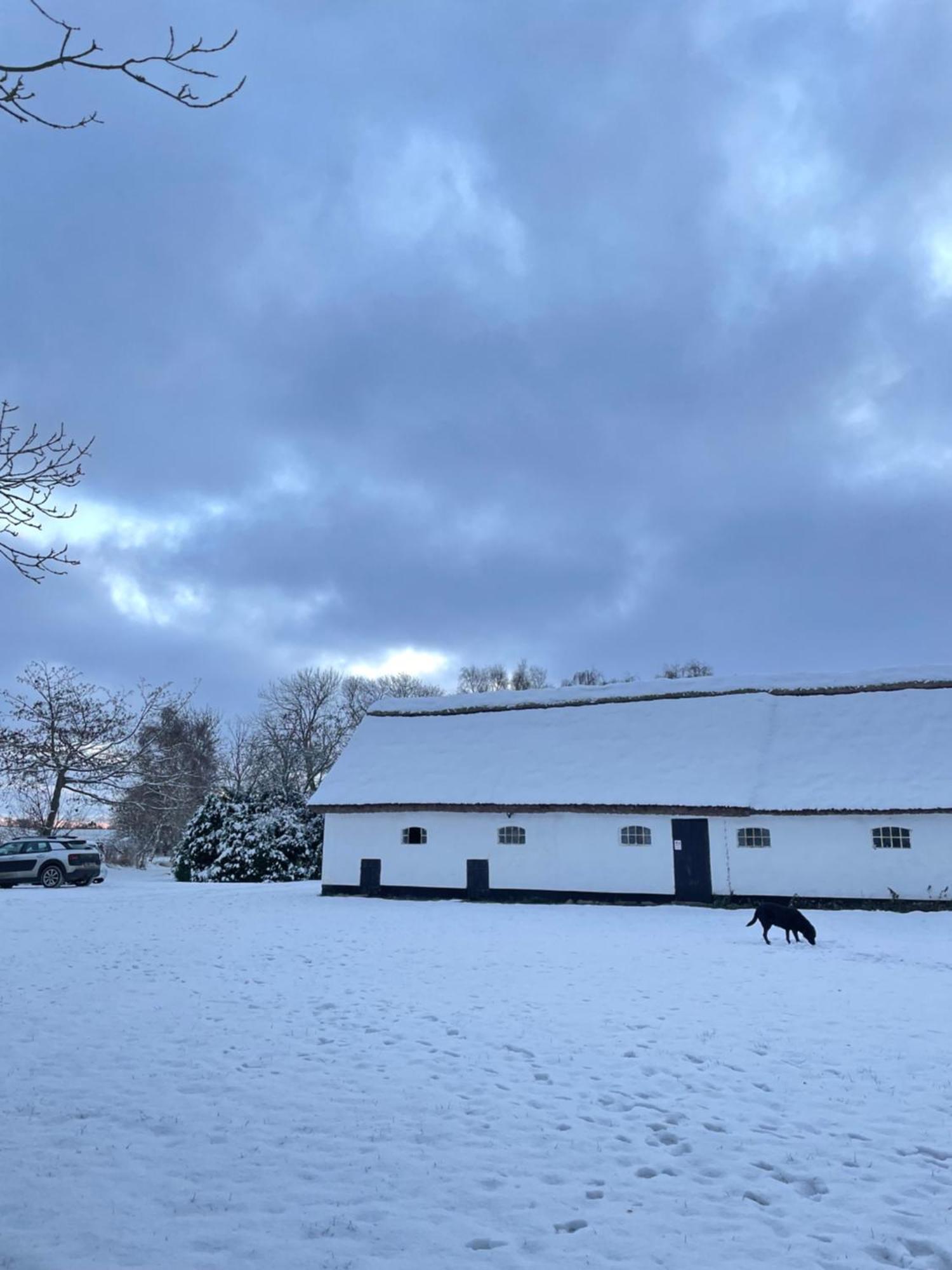 Apple Cottage Vejby ภายนอก รูปภาพ