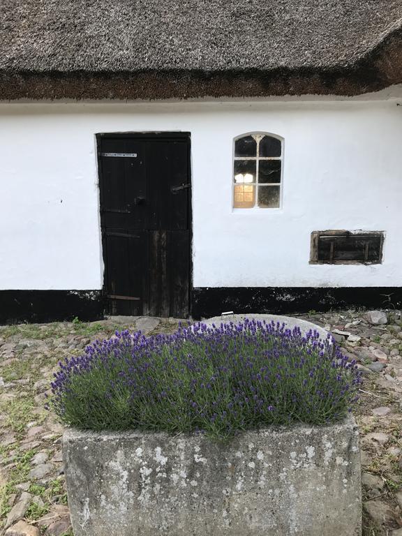 Apple Cottage Vejby ภายนอก รูปภาพ