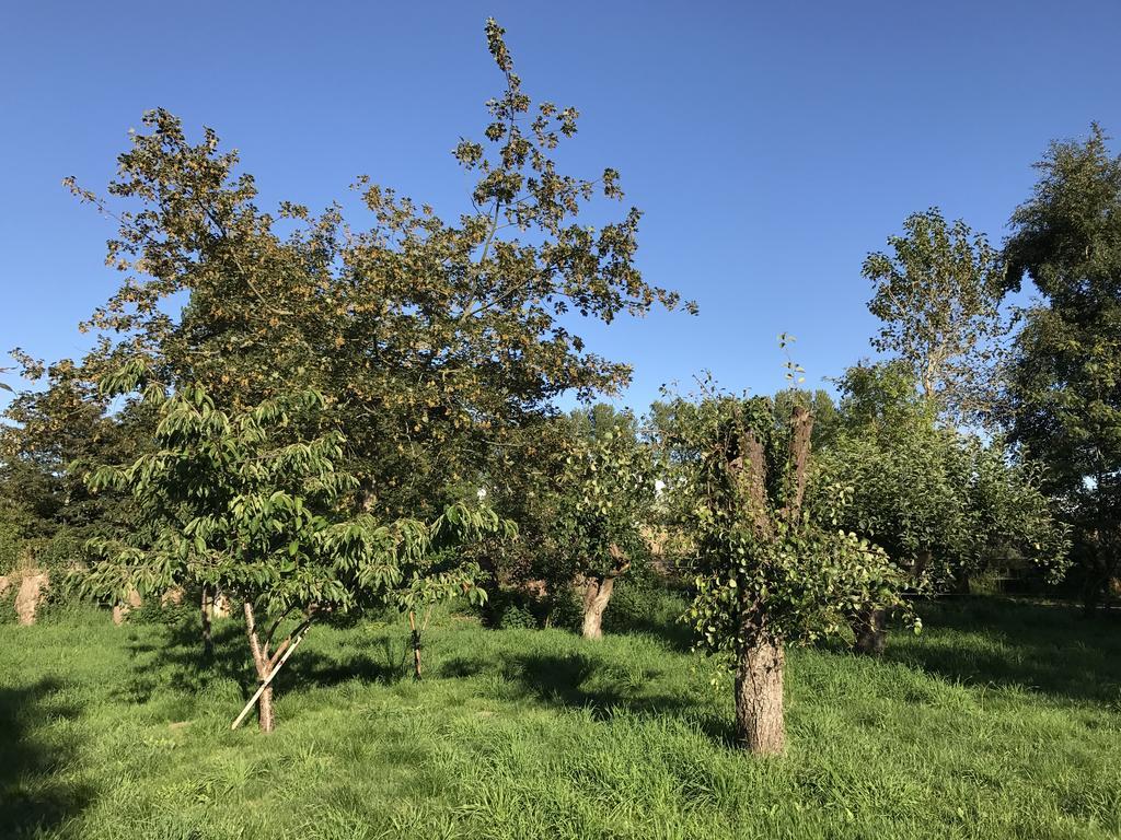 Apple Cottage Vejby ภายนอก รูปภาพ