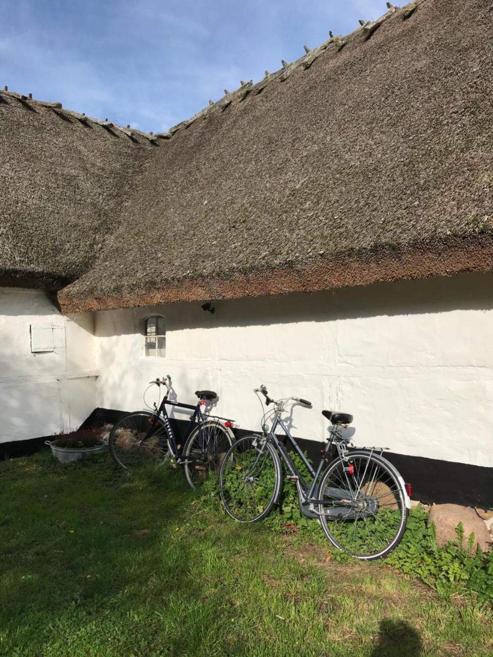 Apple Cottage Vejby ภายนอก รูปภาพ